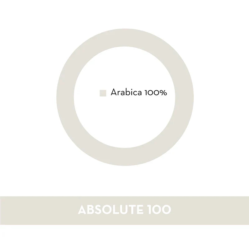 Cafea boabe 100% Arabica, Musetti ABSOLUTE, butoi 1.5 kg
